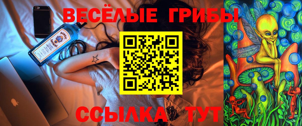 Псилоцибиновые грибы мухоморы Вольск